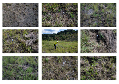 No16 par4 大阪湾への埋め立て土砂を採取した跡地Sタウンにあるミドルホールです。距離は短いが背の高い草に注意です。 